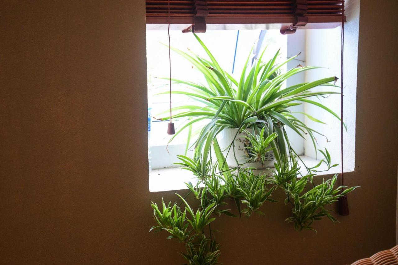 Ahoj Guest House ฮาลอง ภายนอก รูปภาพ